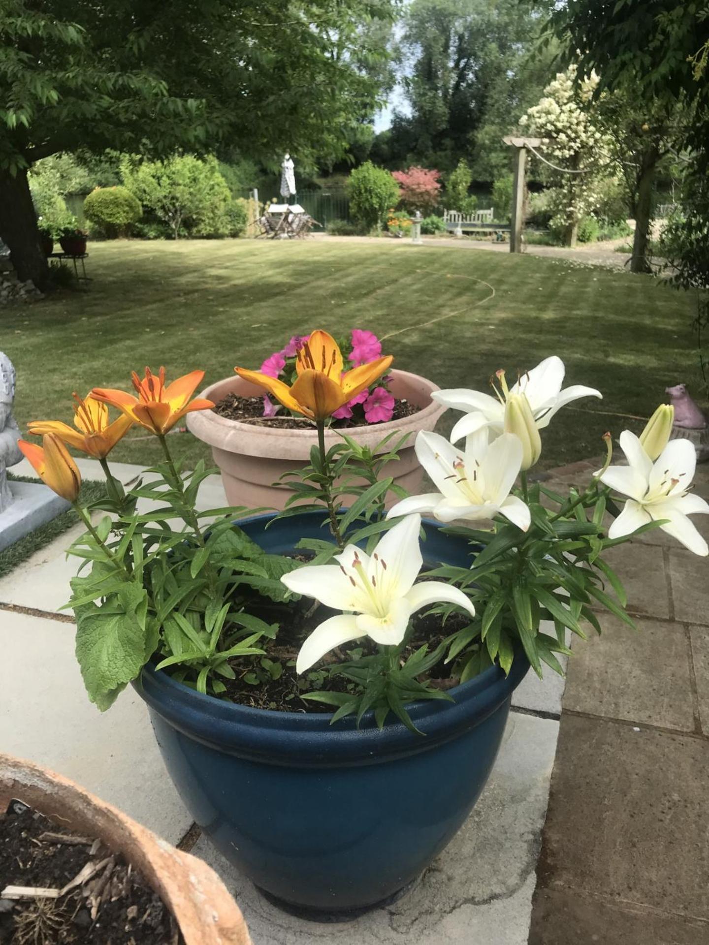 Cozy Double Bedroom In Stunning Bungalow On River Thames - Near Thorpe Park/Royal Holloway University/20Mins From Heathrow Staines-upon-Thames Dış mekan fotoğraf